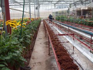 Filling of the tables