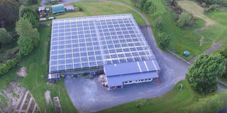 Bird's eye view of the PlentyFlora glasshouse