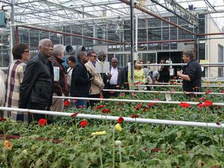 Guided Tour