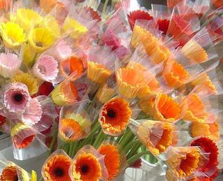 Sleeved gerberas