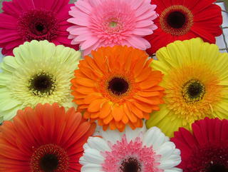 Bright & Colourful