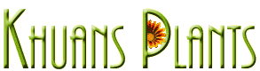 Khuan's Plants