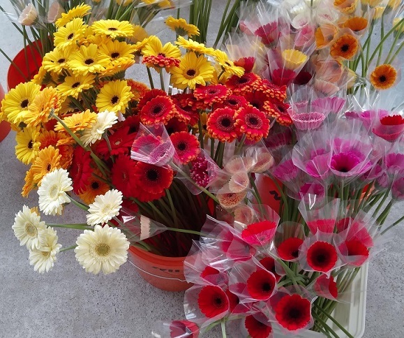 Bucket of Flowers